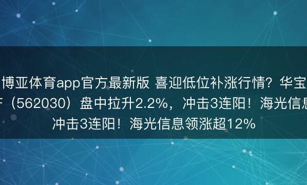 博亚体育app官方最新版 喜迎低位补涨行情?华宝基金信创ETF(562030)盘中拉升2.2%,冲击3连阳!海光信息领涨超12%