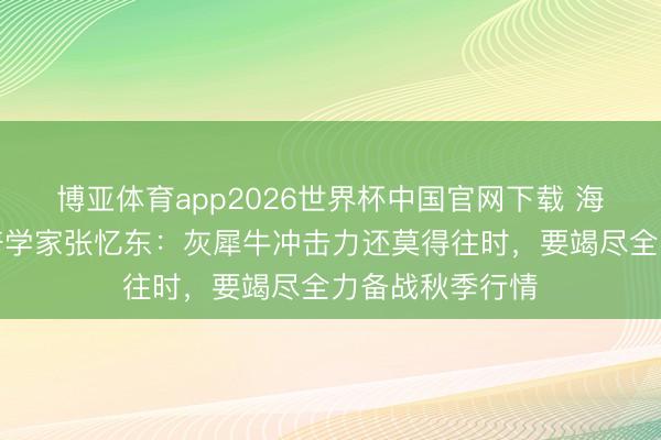 博亚体育app2026世界杯中国官网下载 海通国际首席经济学家张忆东：灰犀牛冲击力还莫得往时，要竭尽全力备战秋季行情