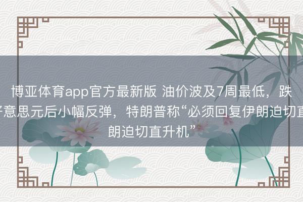博亚体育app官方最新版 油价波及7周最低，跌破90好意思元后小幅反弹，特朗普称“必须回复伊朗迫切直升机”