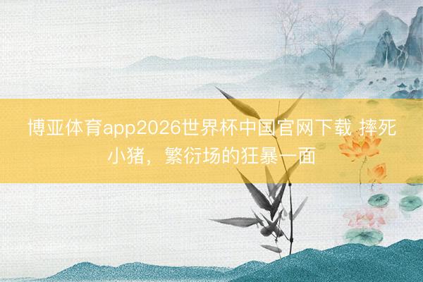 博亚体育app2026世界杯中国官网下载 摔死小猪，繁衍场的狂暴一面