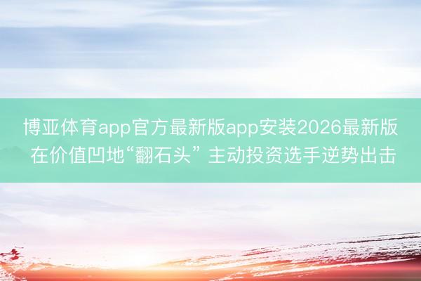 博亚体育app官方最新版app安装2026最新版 在价值凹地“翻石头” 主动投资选手逆势出击